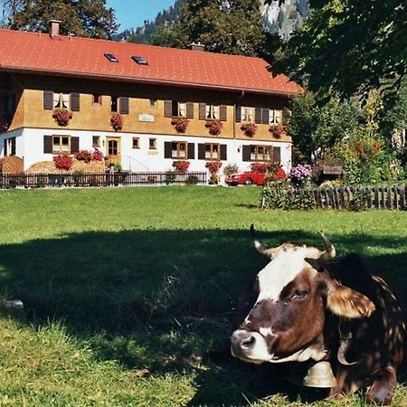 Gaestehaus Hedwig Bad Hindelang Exterior photo